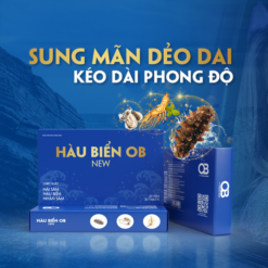 HÀU BIỂN OB NEW