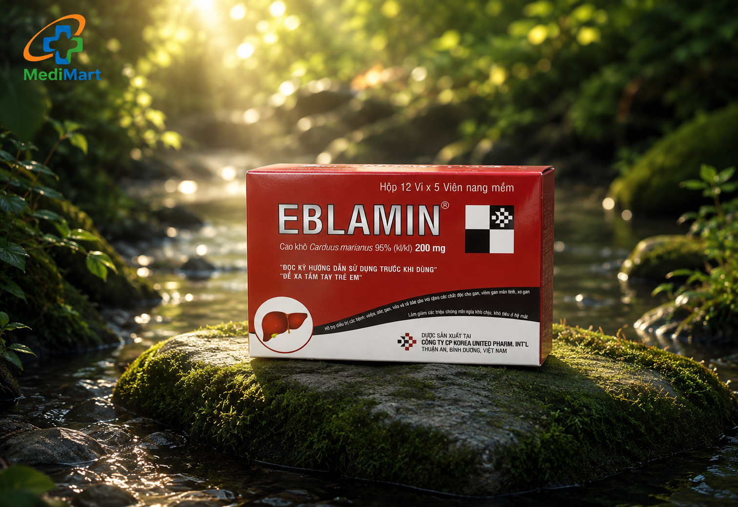 Eblamin 200mg (Hộp 12 vỉ x 5 viên)