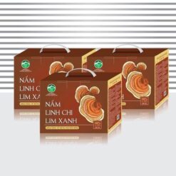 Nấm Linh Chi Lim Xanh Tu Mơ Rông (thái lát/ nguyên tai)