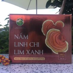 Nấm Linh Chi Lim Xanh Tu Mơ Rông (thái lát/ nguyên tai)