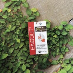 Viên Uống Hỗ Trợ Kiểm Soát Gout, Giảm Đau Do Gout Baigout