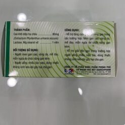 Viên uống điều trị viêm gan Diệp Hạ Châu PP Pharco