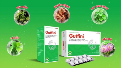 Thực phẩm bảo vệ sức khỏe Gutfini