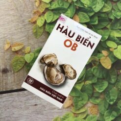 Viên uống tăng cường sinh lý nam Hàu Biển OB