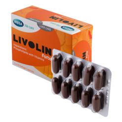 Viên uống hỗ trợ gan Livolin Forte