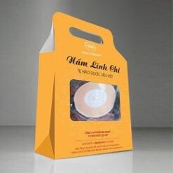 Nấm Lim Xanh VQCGROUP
