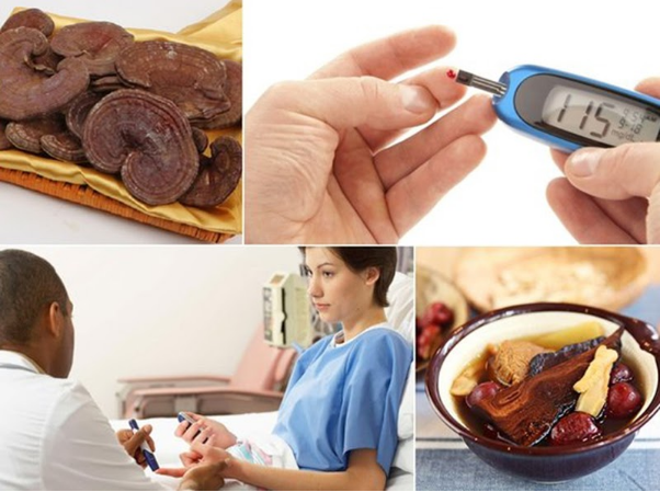 nam-linh-chi-ho-tro-dieu-tri-dai-thai-thao-duong-1 nam-linh-chi-ho-tro-dieu-tri-dai-thai-thao-duong.PNG