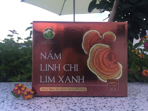 nam-linh-chi-lim-xanh-tu-mo-rong-thai-lat-nguyen-tai nam-linh-chi-lim-xanh-tu-mo-rong-thai-lat-nguyen-tai.jpg