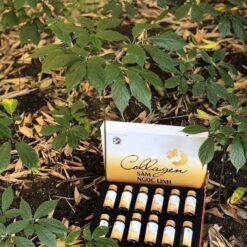 Nước uống Collagen Sâm Ngọc Linh Tu Mơ Rông