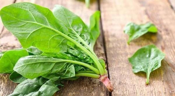 rauchatvit rauchatvit.jpg