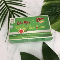 Sỏi Mật Trái Sung