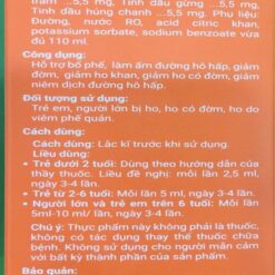 Siro Bổ Phế Giảm Ho Syrup Hobezut 110ml