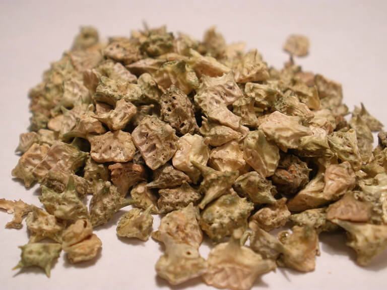 tac-dung-cua-bach-tat-le tac-dung-cua-bach-tat-le.jpg