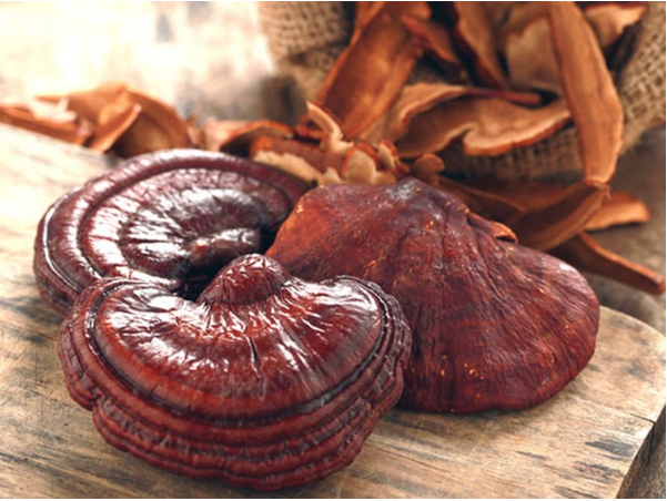 tac-dung-cua-nam-linh-chi tac-dung-cua-nam-linh-chi.PNG