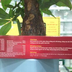 Tăng lực đông trùng- Sủi hồng sâm 247