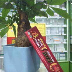 Tăng lực đông trùng- Sủi hồng sâm 247