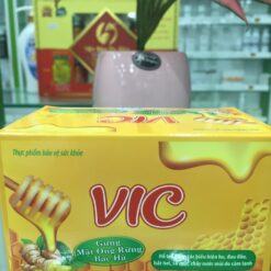 Thực phẩm bảo vệ sức khỏe VIC