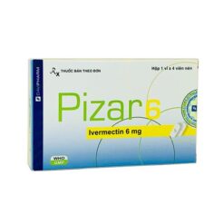 PIZAR 6