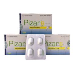 PIZAR 6