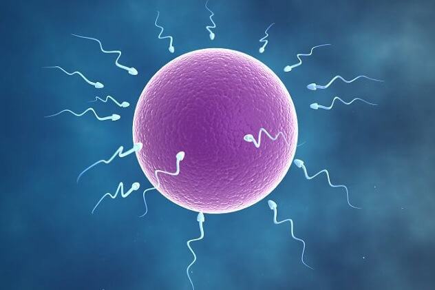 tinh-trung-yeu-la-gi-1 tinh-trung-yeu-la-gi.jpg