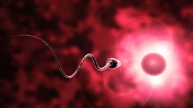 tom-tat-qua-trinh-tinh-trung-gap-trung