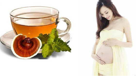 tra-nam-linh-chi-tot-cho-thai-phu tra-nam-linh-chi-tot-cho-thai-phu.PNG