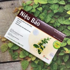 Niệu Bảo
