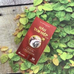 Hàu Tam Hiệp Plus