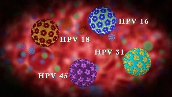 virus-hpv-la-gi virus-hpv-la-gi.jpg