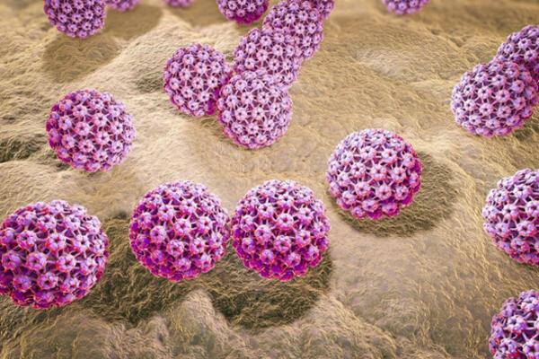 virus-hpv-lay-qua-duong-nao virus-hpv-lay-qua-duong-nao.jpg
