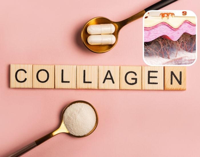 Collagen Là Gì