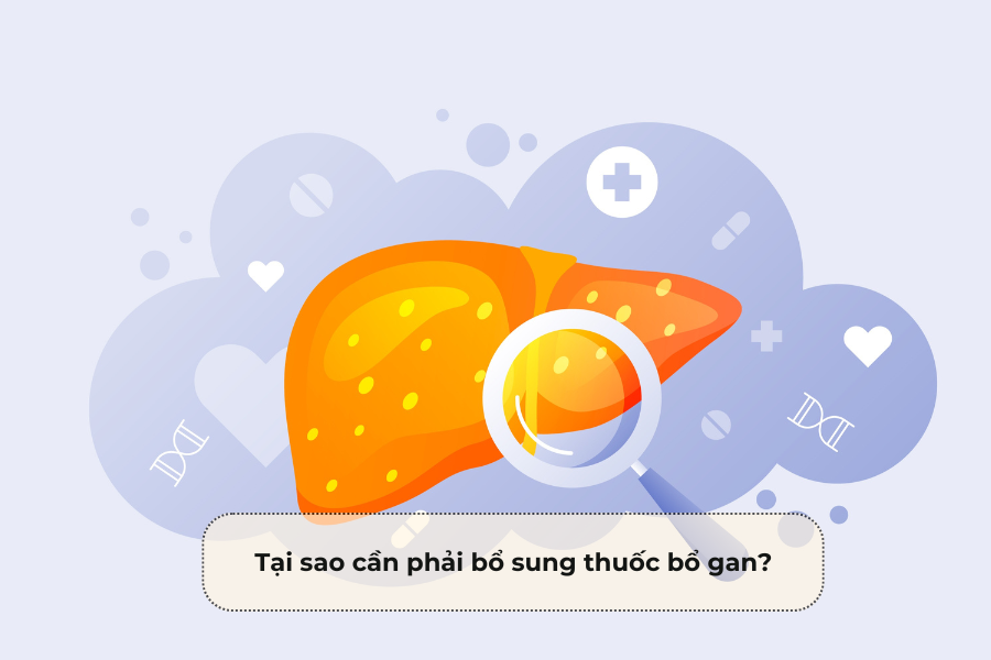 Tại sao cần phải bổ sung thuốc bổ gan