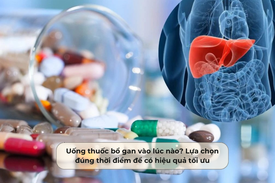 Uống thuốc bổ gan vào lúc nào Lựa chọn đúng thời điểm để có hiệu quả tối ưu