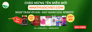Chương trình khuyến mãi nhân dịp chuyển domain
