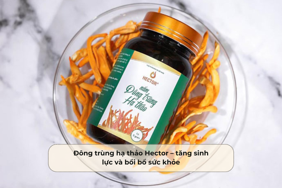 Đông trùng hạ thảo Hector – tăng sinh lực và bồi bổ sức khỏe