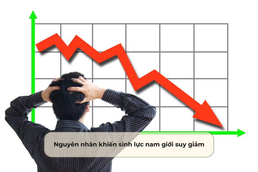 Nguyên nhân khiến sinh lực nam giới suy giảm