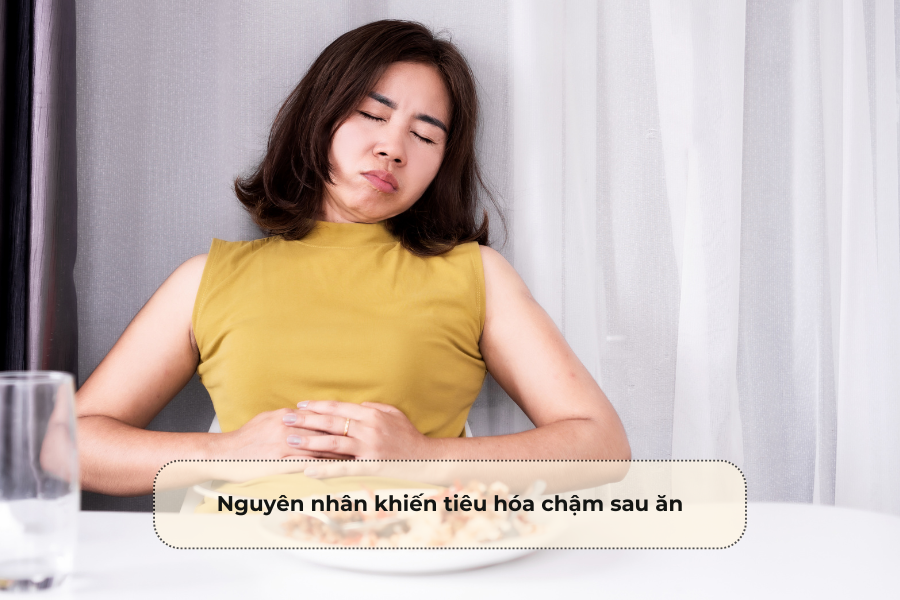 Nguyên nhân khiến tiêu hóa chậm sau ăn