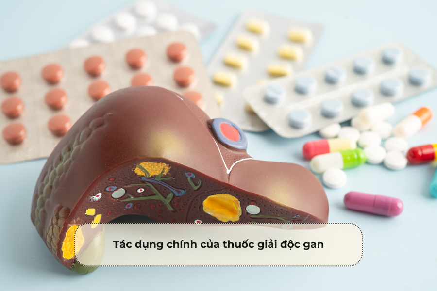 Tác dụng chính của thuốc giải độc gan