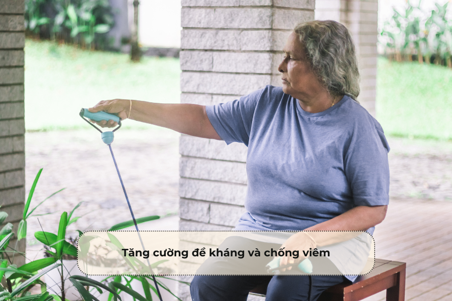 Tăng cường đề kháng và chống viêm