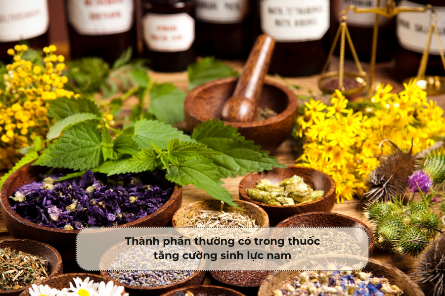 Thành phần thường có trong thuốc tăng cường sinh lực nam