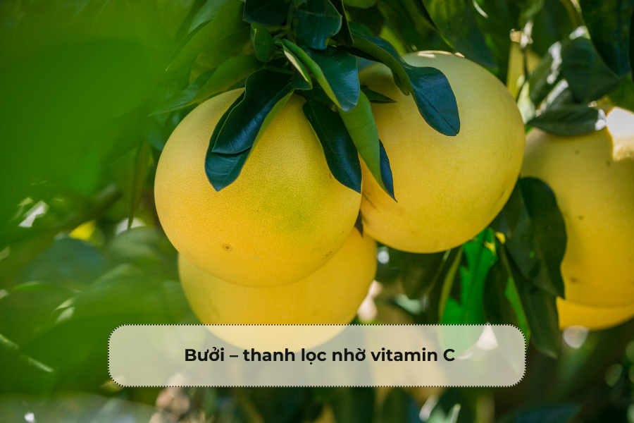 Bưởi – thanh lọc nhờ vitamin C