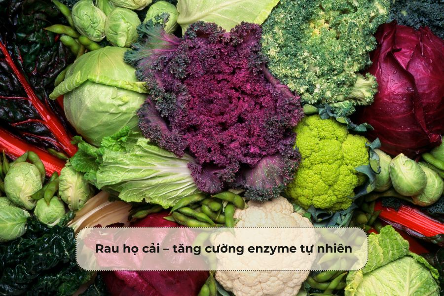 Rau họ cải – tăng cường enzyme tự nhiên
