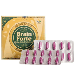 Viên uống Brain Forte GOLD hoạt huyết, tăng cường tuần hoàn máu não