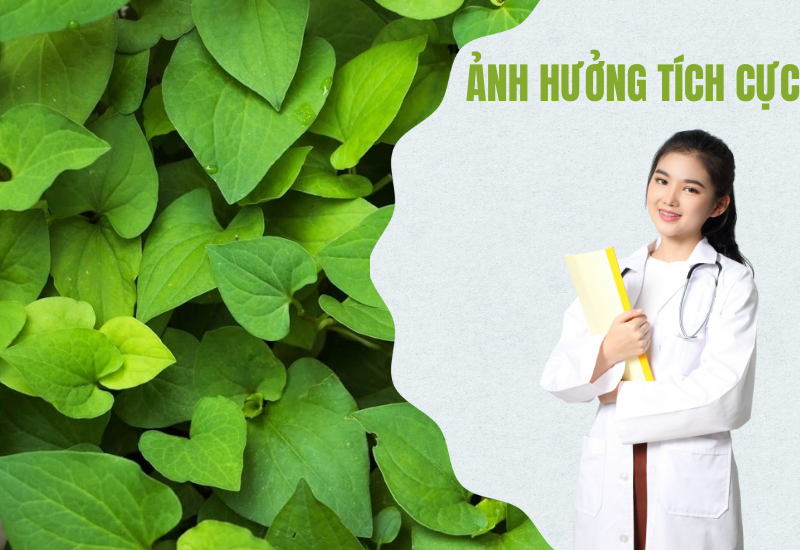Ảnh hưởng tích cực