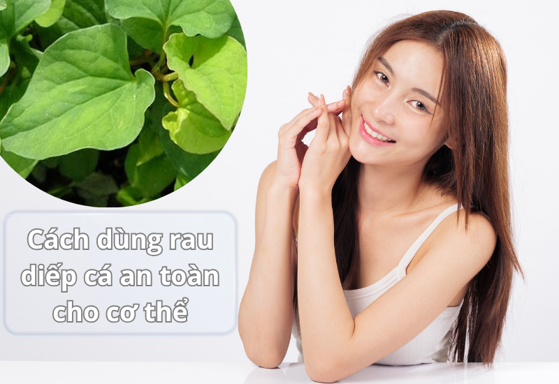 Cách dùng rau diếp cá an toàn cho cơ thể