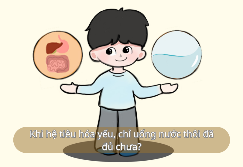 Khi hệ tiêu hóa yếu, chỉ uống nước thôi đã đủ chưa