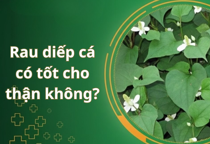 Rau diếp cá có tốt cho thận không