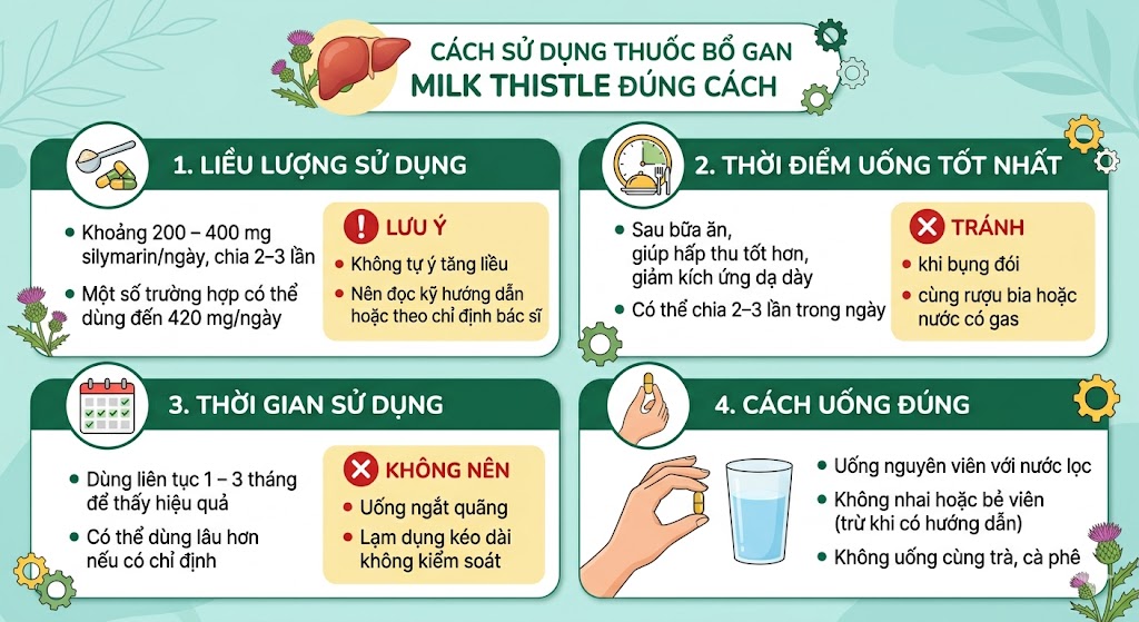 Cách sử dụng thuốc bổ gan Milk Thistle đúng cách