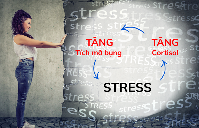 Stress kéo dài gây tích trữ mỡ bụng