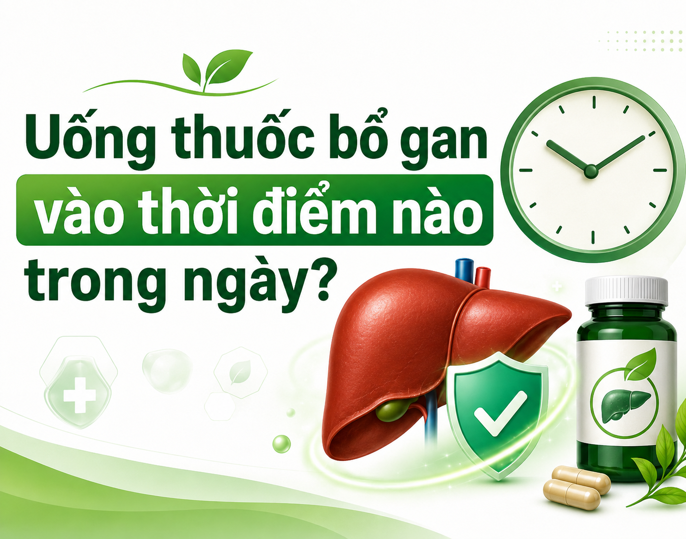 Uống thuốc bổ gan vào thời điểm nào trong ngày? Cách dùng đúng để hỗ trợ gan hiệu quả